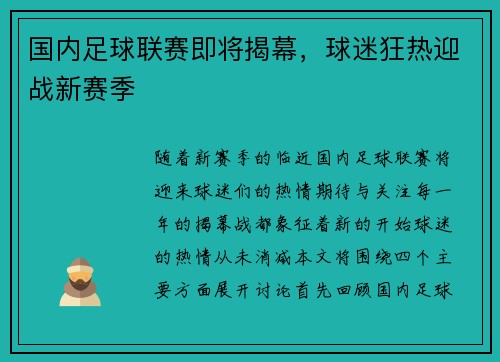 国内足球联赛即将揭幕，球迷狂热迎战新赛季
